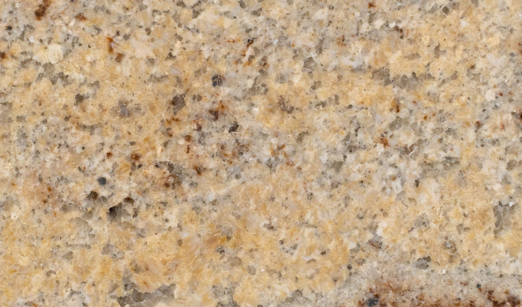 Плитка из полированного гранита Ivory Brown