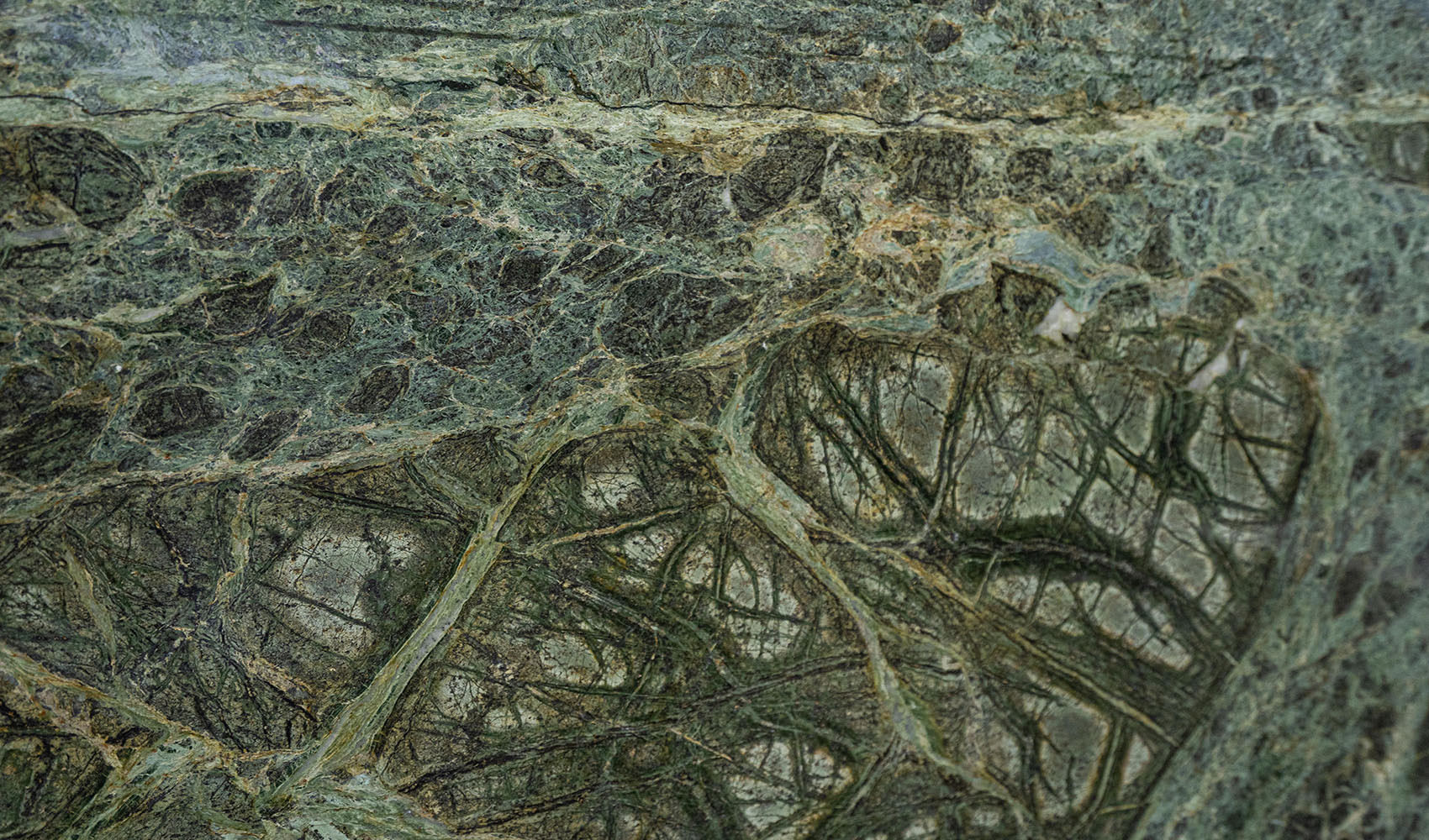 Текстура гранита Green Forest