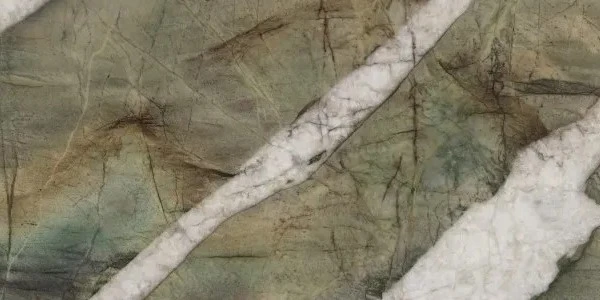 Прожилка Прожилка